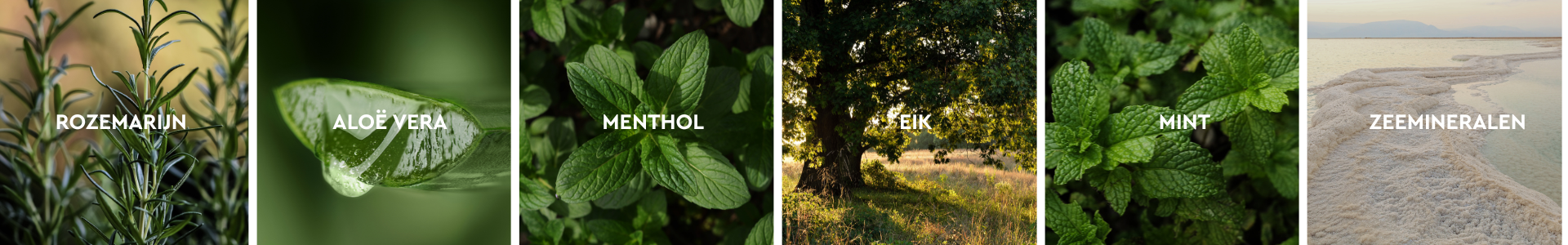 Ingredienten van Kneipp MEN